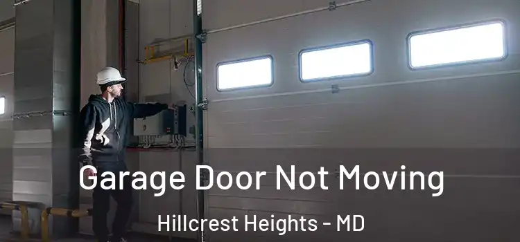  Garage Door Not Moving Hillcrest Heights - MD