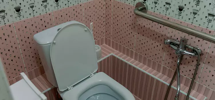 Meeting Diverse Needs With Accessible Restroom Solutions in Hillcrest Heights, MD