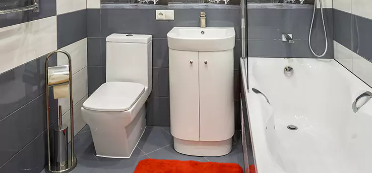 Hansgrohe Shaving Mirror Hillcrest Heights